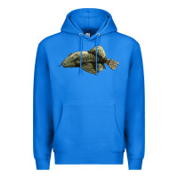 True Royal Bristlenose Placo Premium Hoodie - LillyAllenDesigns