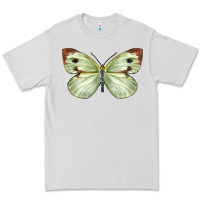 Dove Grey Cabbage Butterfly Premium Tee - LillyAllenDesigns