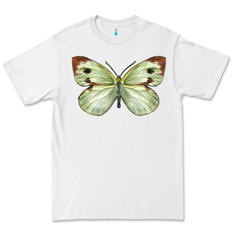 Cabbage Butterfly Premium Tee by LillyAllenDesigns | Teevron
