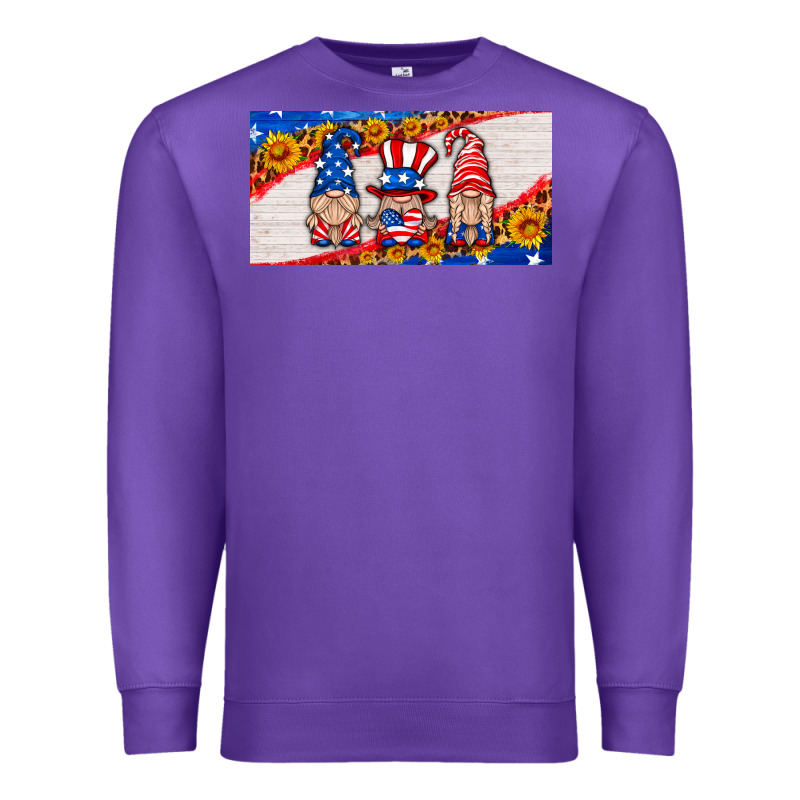 Usa Gnome License Plate Premium Sweatshirt by HRA Design Shop | Teevron