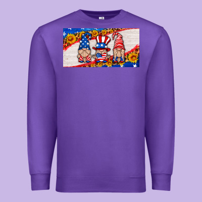 Usa Gnome License Plate Premium Sweatshirt Designed By Hra Design Shop
