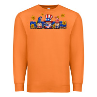 Carrot usa gnome libbey cup Premium Sweatshirt - HRA Design Shop