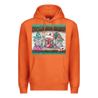 Carrot nurse gnomies tumbler Premium Hoodie - BarkalooDesign