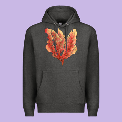 Pink Venus Fan Sea Coral Premium Hoodie Designed By Lillyallendesigns