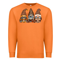 Carrot coffee gnomes Premium Sweatshirt - RacoonDesign