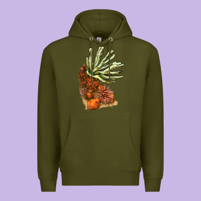 Coral Reef Premium Hoodie Designed By Lillyallendesigns