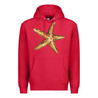 Cardinal Starfish Premium Hoodie - LillyAllenDesigns