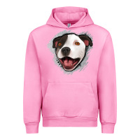Pittbull Gray Glitter Urban Hoodie | Teevron