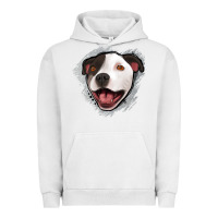 Pigment Lunar Rock pittbull gray glitter Urban Hoodie - Jasminsmagicworld