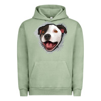 Pigment Oil Green pittbull gray glitter Urban Hoodie - Jasminsmagicworld