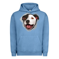 Pigment Pebble Blue pittbull gray glitter Urban Hoodie - Jasminsmagicworld