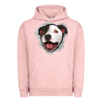 Pigment Salmon pittbull gray glitter Urban Hoodie - Jasminsmagicworld