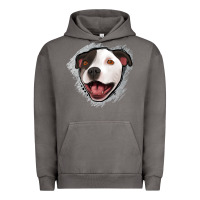 Pigment Tornado pittbull gray glitter Urban Hoodie - Jasminsmagicworld