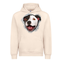Sandshell pittbull gray glitter Urban Hoodie - Jasminsmagicworld