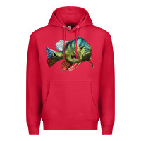 Cardinal Peacock Bass Illustrations Premium Hoodie - LillyAllenDesigns