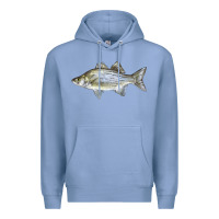 Colony Blue White Bass Fish Illustrations Premium Hoodie - LillyAllenDesigns