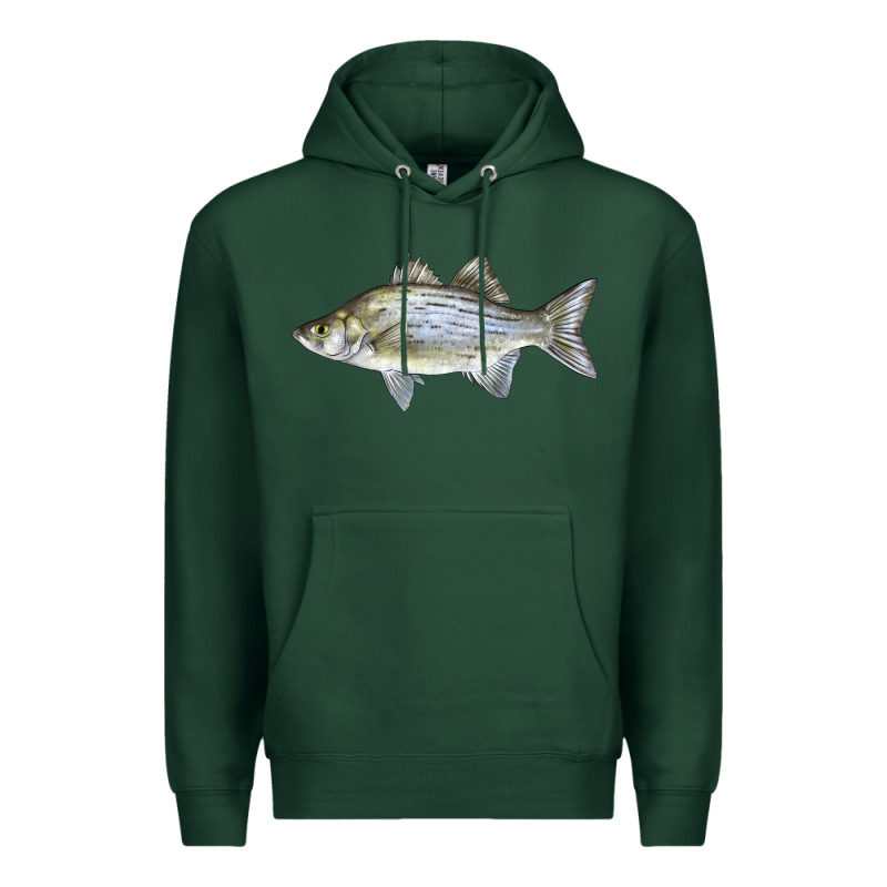 White Bass Fish Illustrations Premium Hoodie by LillyAllenDesigns | Teevron