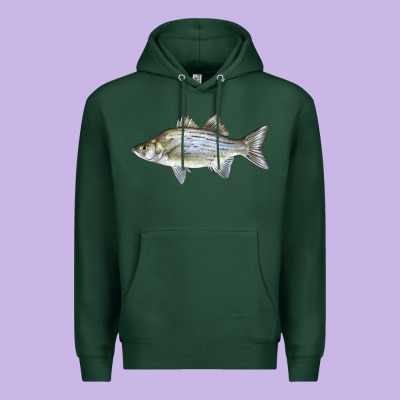 White Bass Fish Illustrations Premium Hoodie Designed By Lillyallendesigns