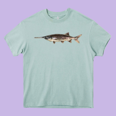 Paddlefish Illustrations, Heavy Core Tee Designed By Lillyallendesigns