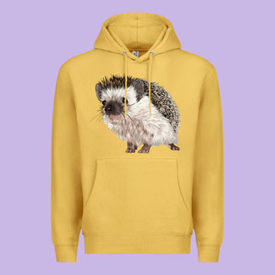 Hedgehog Illustrations Premium Hoodie Designed By Lillyallendesigns