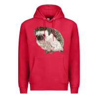 Cardinal Hedgehog Illustrations Premium Hoodie - LillyAllenDesigns
