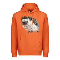 Carrot Hedgehog Illustrations Premium Hoodie - LillyAllenDesigns