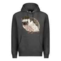 Charcoal Heather Hedgehog Illustrations Premium Hoodie - LillyAllenDesigns