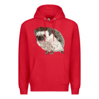 Red Hedgehog Illustrations Premium Hoodie - LillyAllenDesigns