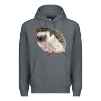 Rock Hedgehog Illustrations Premium Hoodie - LillyAllenDesigns