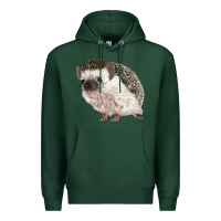 Sports Green Hedgehog Illustrations Premium Hoodie - LillyAllenDesigns