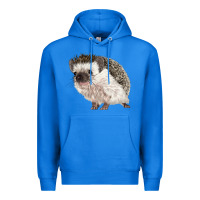 True Royal Hedgehog Illustrations Premium Hoodie - LillyAllenDesigns
