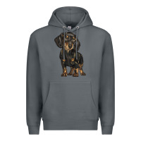 Rock dachshund Premium Hoodie - BarkalooDesign