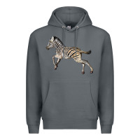 Rock Baby Zebra Premium Hoodie - LillyAllenDesigns