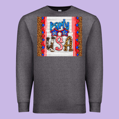 Party In The Usa Premium Sweatshirt Designed By Hra Design Shop