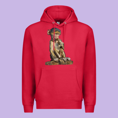 Baby Baboon Illustrations Premium Hoodie Designed By Lillyallendesigns