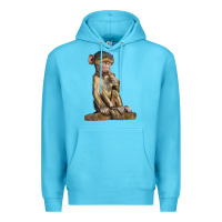 Ocean Blue Baby Baboon Illustrations Premium Hoodie - LillyAllenDesigns