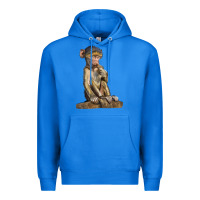 True Royal Baby Baboon Illustrations Premium Hoodie - LillyAllenDesigns