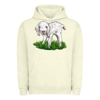 Pigment Pistachio Baby Angora Goat Urban Hoodie - LillyAllenDesigns