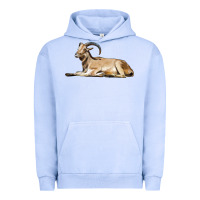 Pigment Grape Ice Spanish Goat Urban Hoodie - LillyAllenDesigns