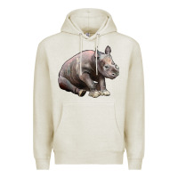 Oatmeal Heather Baby Rhino Illustrations Premium Hoodie - LillyAllenDesigns