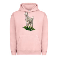 Pigment Salmon Kiko Goat Urban Hoodie - LillyAllenDesigns