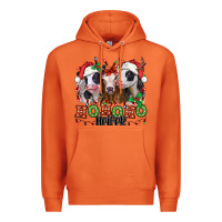 Carrot ho ho ho heifer christmas heifers Premium Hoodie - Jasminsmagicworld