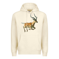 Sandshell Impala Antelope Illustrations Premium Hoodie - LillyAllenDesigns