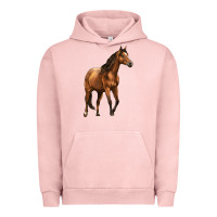 Pigment Salmon Quarter Horse Urban Hoodie - LillyAllenDesigns