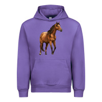 Tulip Quarter Horse Urban Hoodie - LillyAllenDesigns