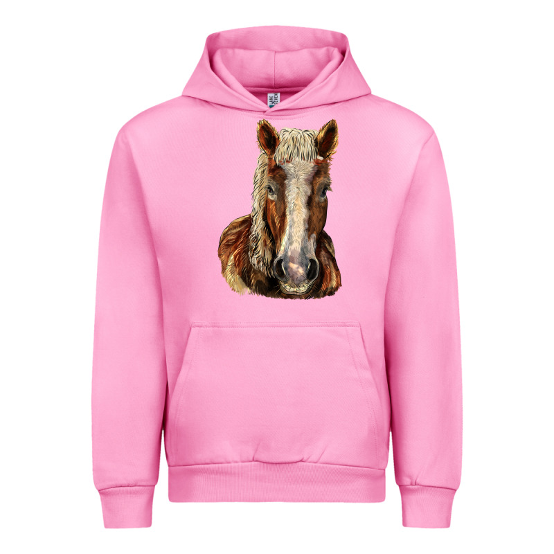 Belgian Horse Urban Hoodie by LillyAllenDesigns | Teevron