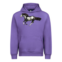 Tulip American Paint Horse Urban Hoodie - LillyAllenDesigns