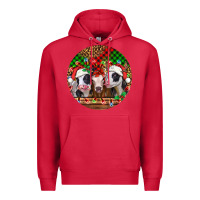 Cardinal Christmas heifers Christmas Premium Hoodie - Jasminsmagicworld