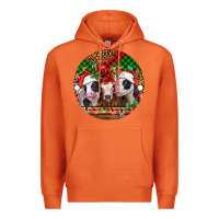 Carrot Christmas heifers Christmas Premium Hoodie - Jasminsmagicworld