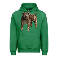 Emerald Duroc Pig Urban Hoodie - LillyAllenDesigns